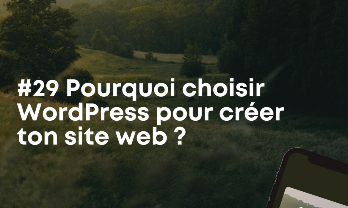 Pourquoi choisir Wordpress pour son site internet ?